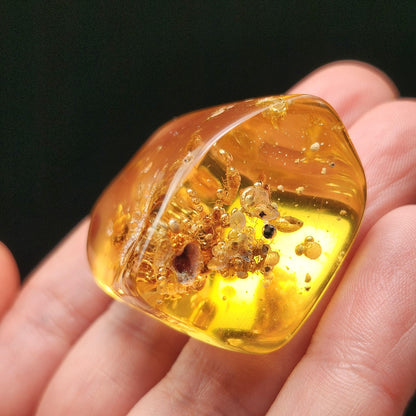Amber with Termites & Static Enhydro Bubbles 12.8g