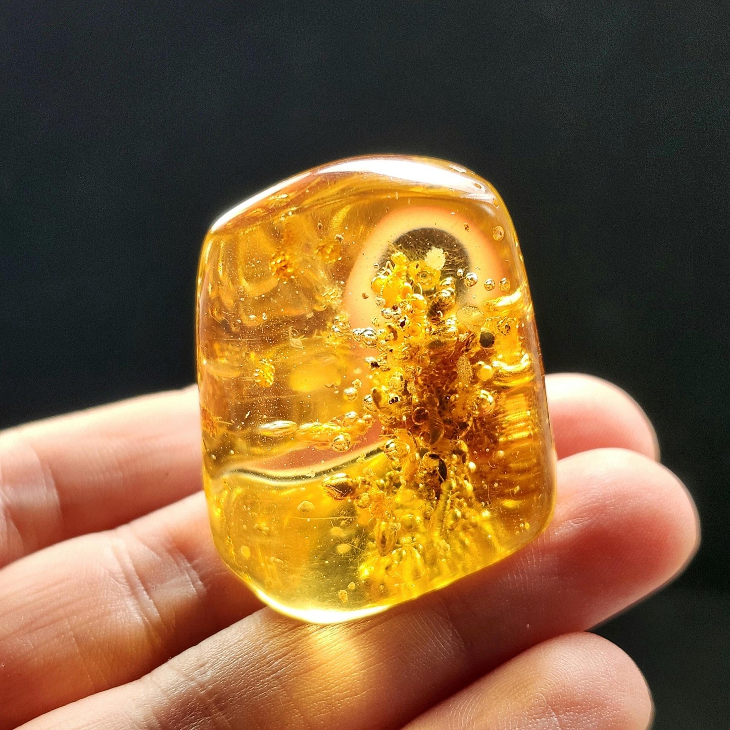 Amber with Termites & Static Enhydro Bubbles 12.8g
