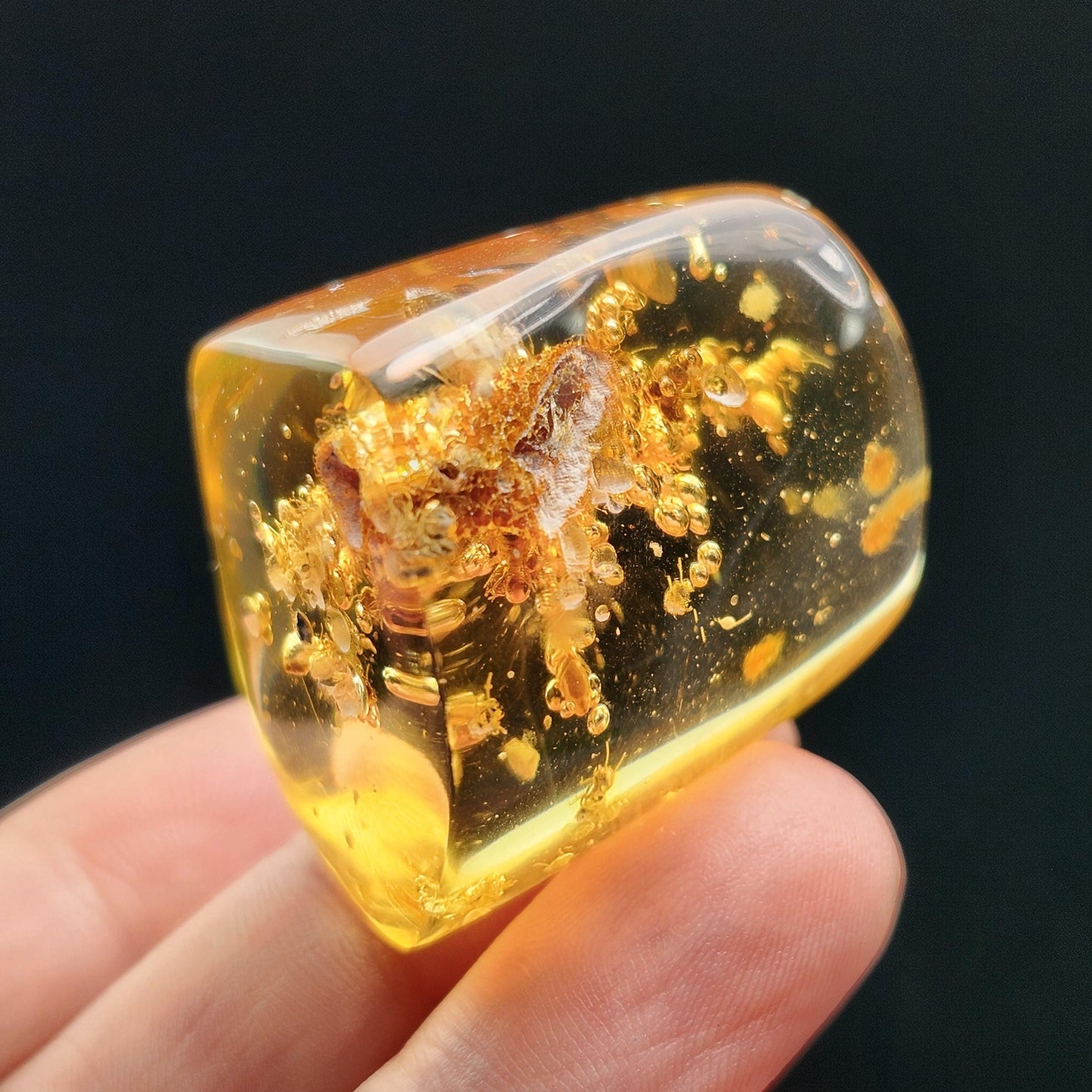 Amber with Termites & Static Enhydro Bubbles 12.8g