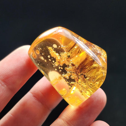 Amber with Termites & Static Enhydro Bubbles 12.8g