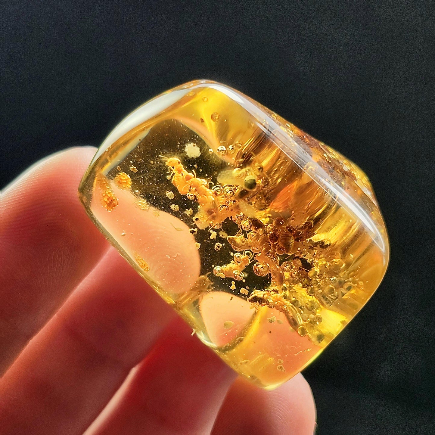 Amber with Termites & Static Enhydro Bubbles 12.8g