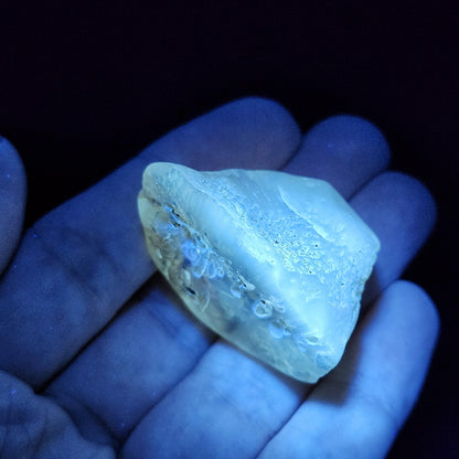 Amber with Termites/Bugs & Static ENHYDRO 10.4g