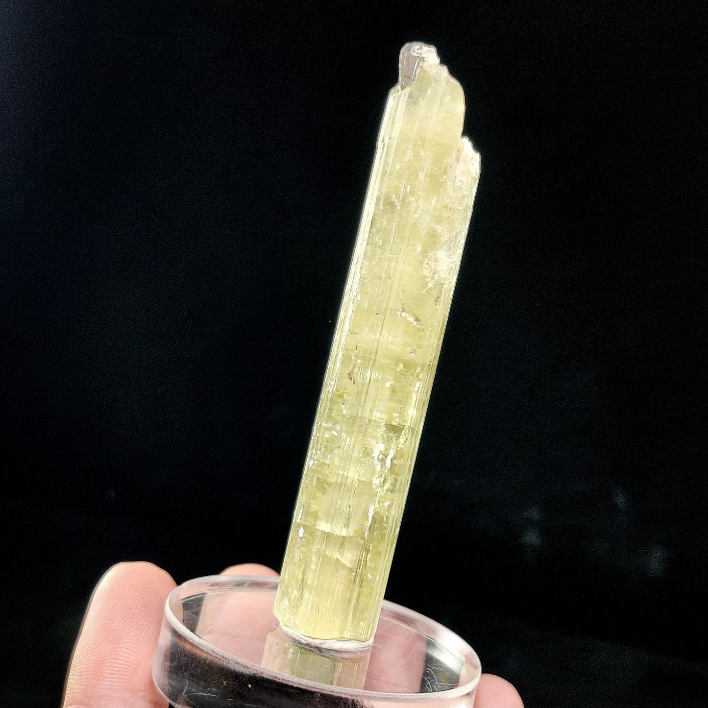 Heliodor Crystal Specimen 38.0g, LARGE Heliodor from Brazil, Golden Beryl