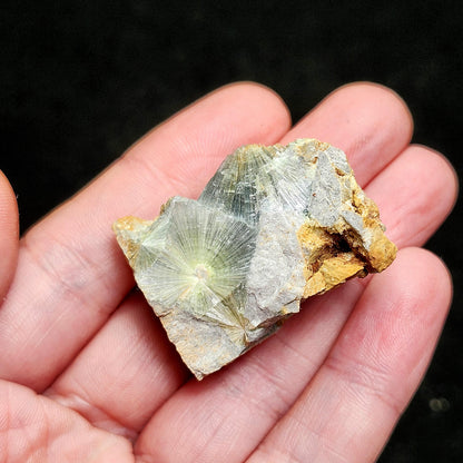 Wavellite Radial Crystal Specimen