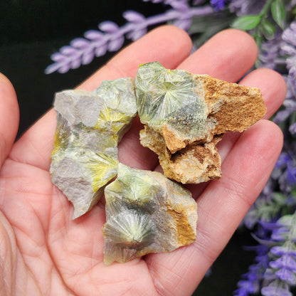 Wavellite Radial Crystal Specimen