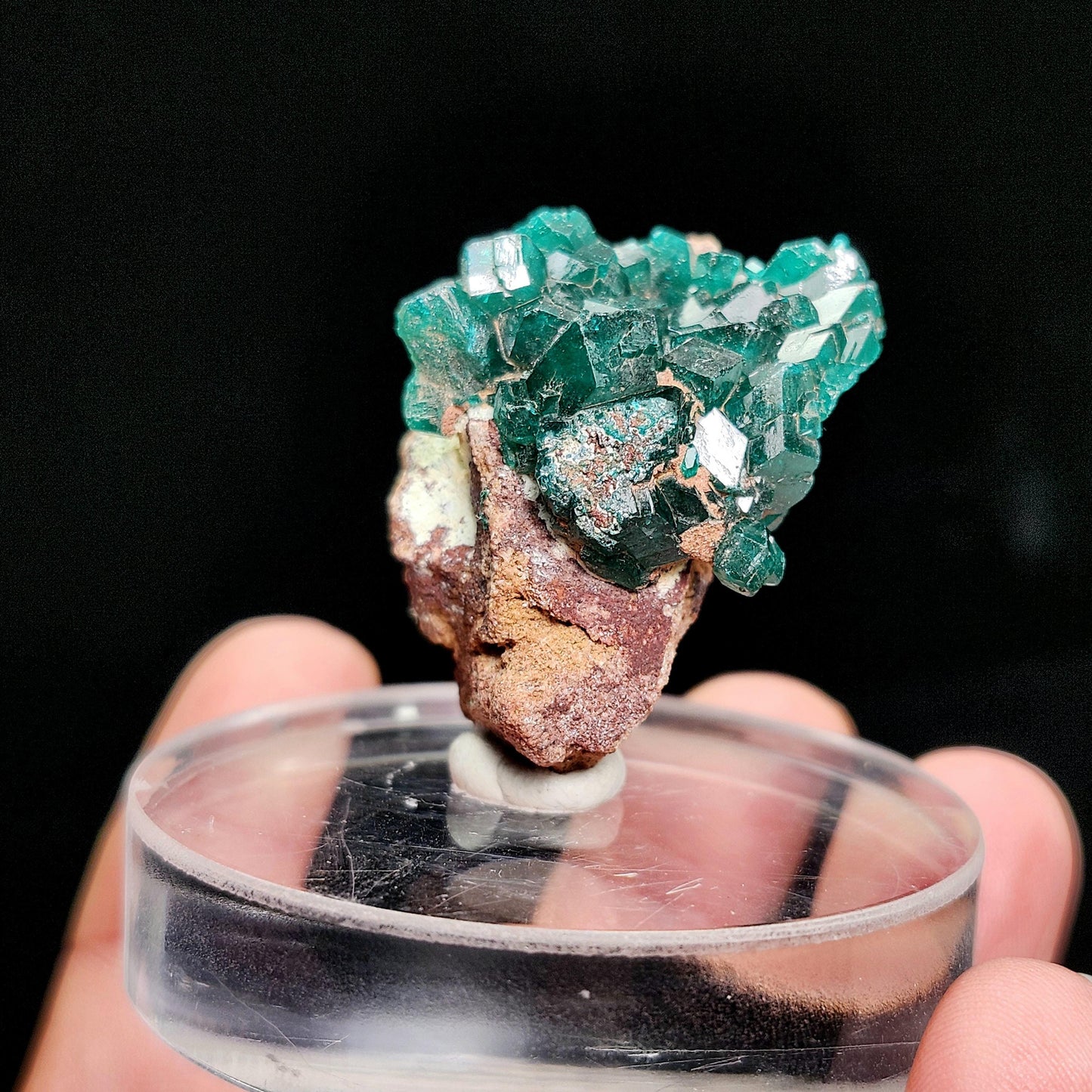 Dioptase Crystal 14.8g