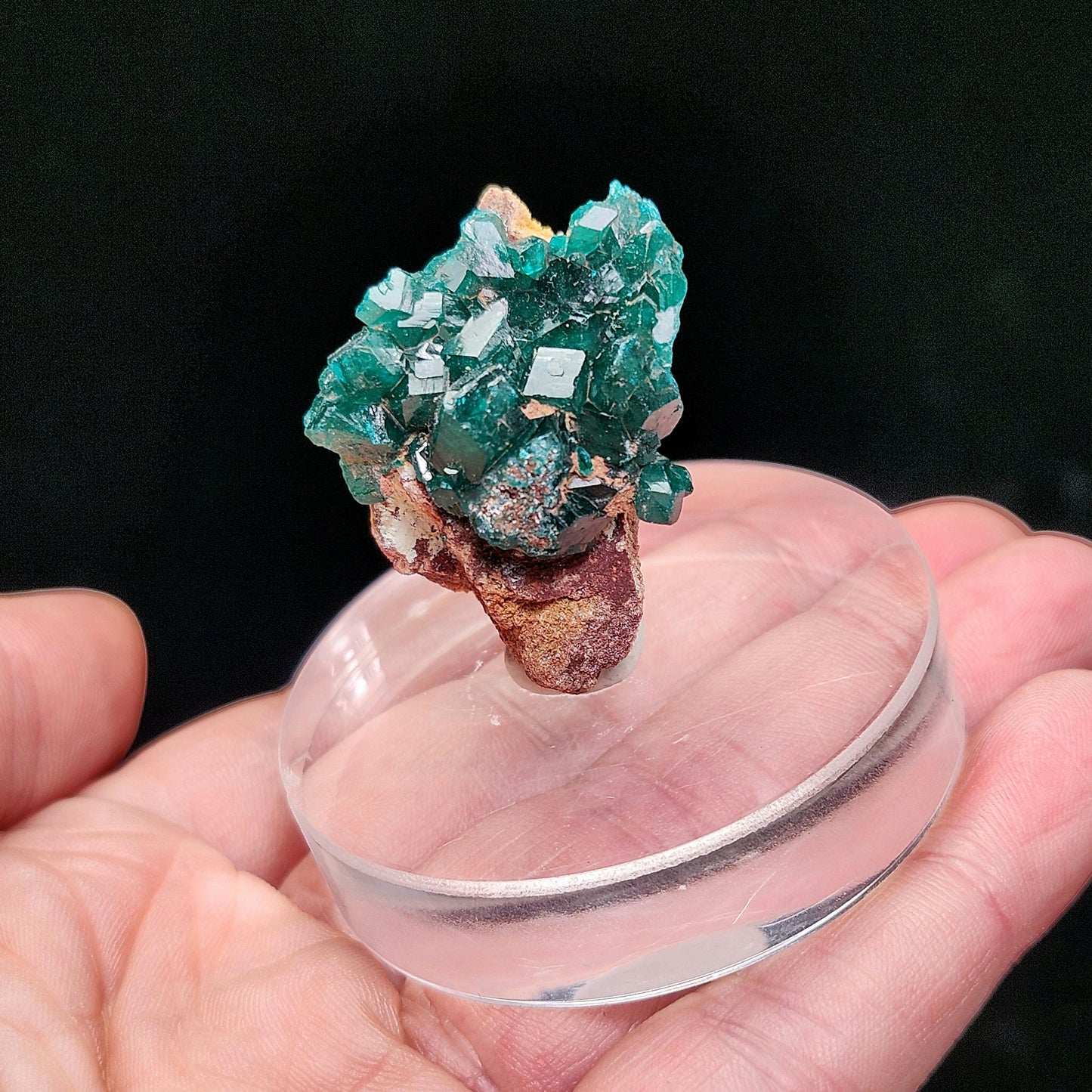 Dioptase Crystal 14.8g