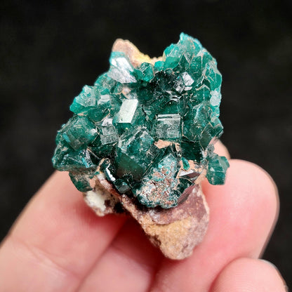 Dioptase Crystal 14.8g