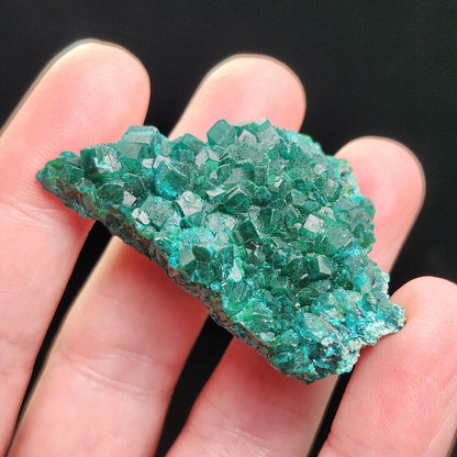 Dioptase Crystal 18.4g