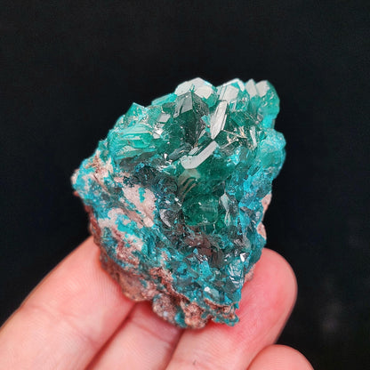 Dioptase Crystal 50.7g