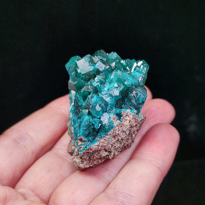 Dioptase Crystal 50.7g