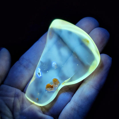 Amber with Bugs & Static ENHYDRO 11.5g