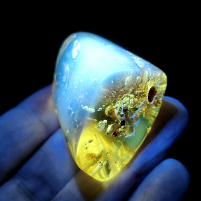 Amber with Termites & Static Enhydro Bubbles 12.8g