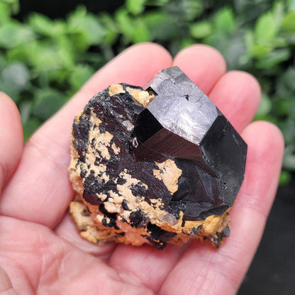 Hyalite Opal & Black Tourmaline 87g