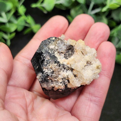 Hyalite Opal & Black Tourmaline 68g