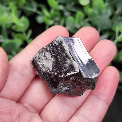 Hyalite Opal & Black Tourmaline 54g