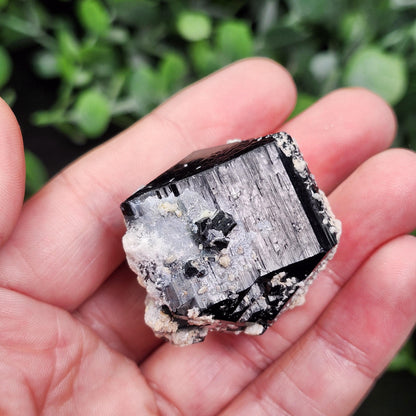 Hyalite Opal & Black Tourmaline 45g