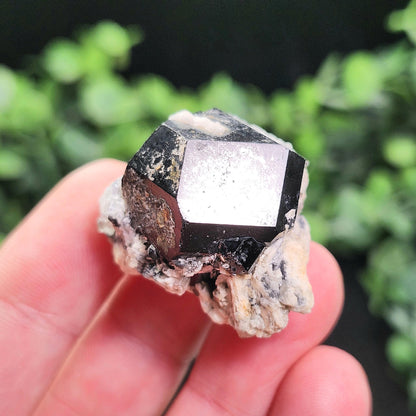 Hyalite Opal & Black Tourmaline