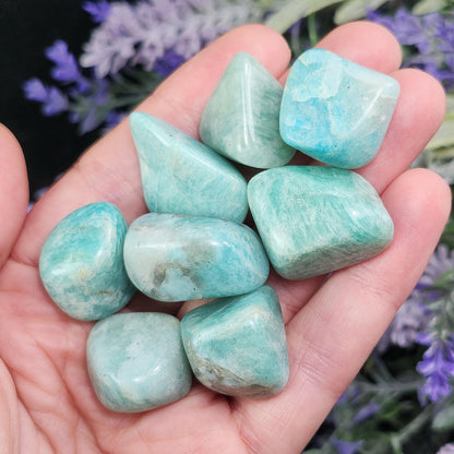 Amazonite Tumbled Crystal
