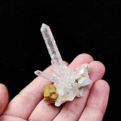 Colombian Lemurian Crystal