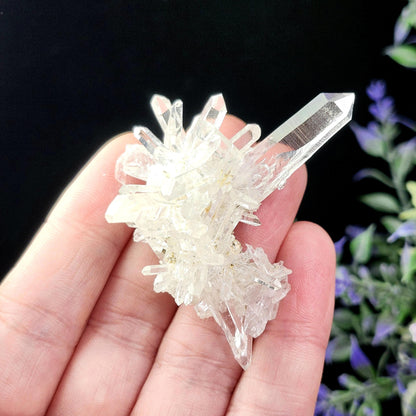 Colombian Lemurian Crystal
