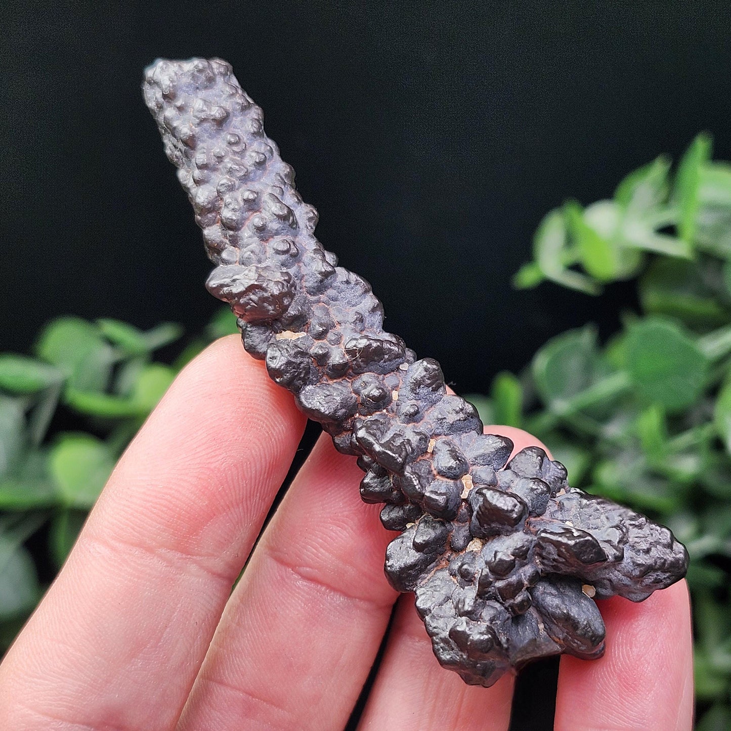 Angel Chime Prophecy Stone 34g