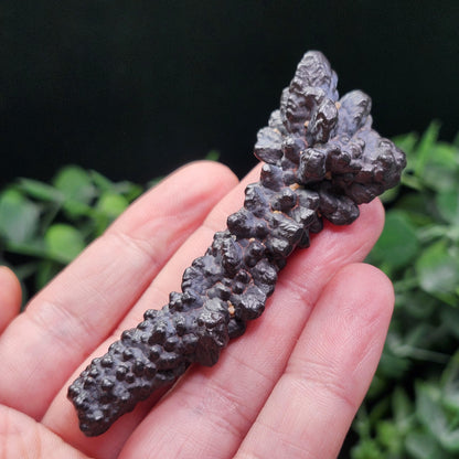 Angel Chime Prophecy Stone 34g