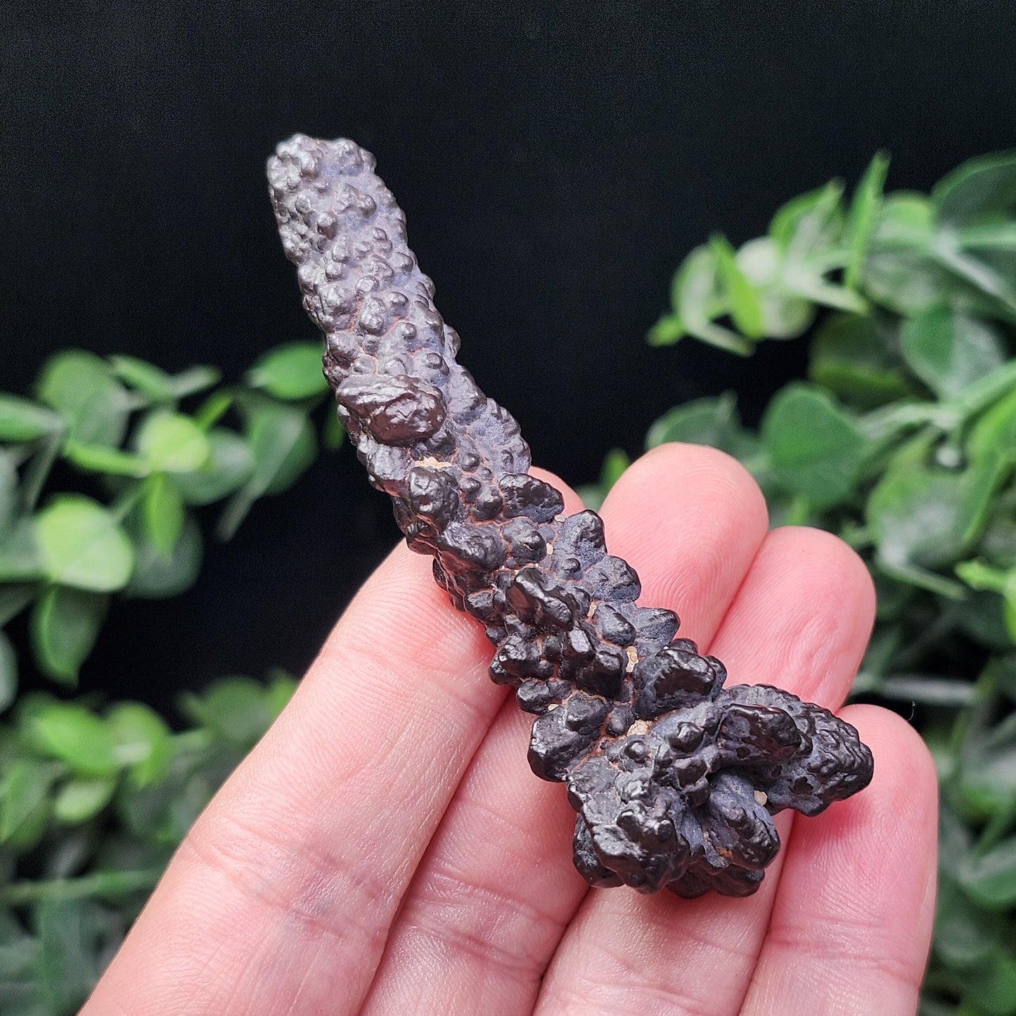 Angel Chime Prophecy Stone 34g