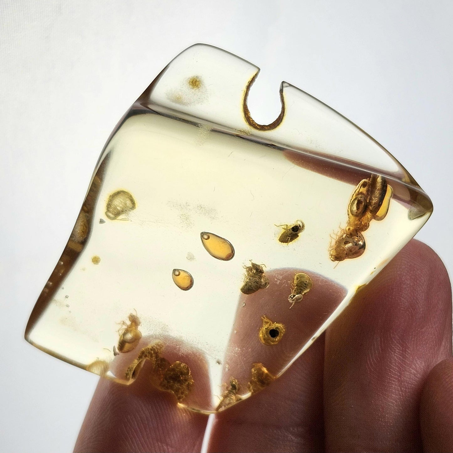 MOVING Enhydro AMBER with Bugs 8g