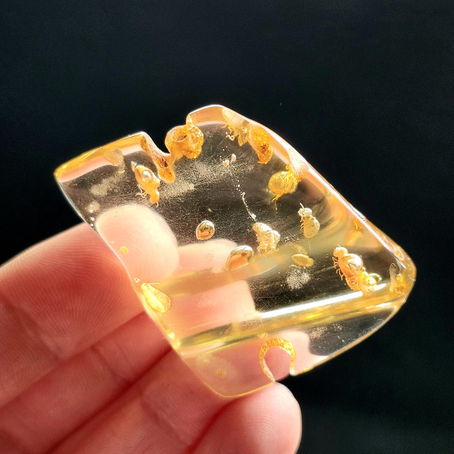 MOVING Enhydro AMBER with Bugs 8g