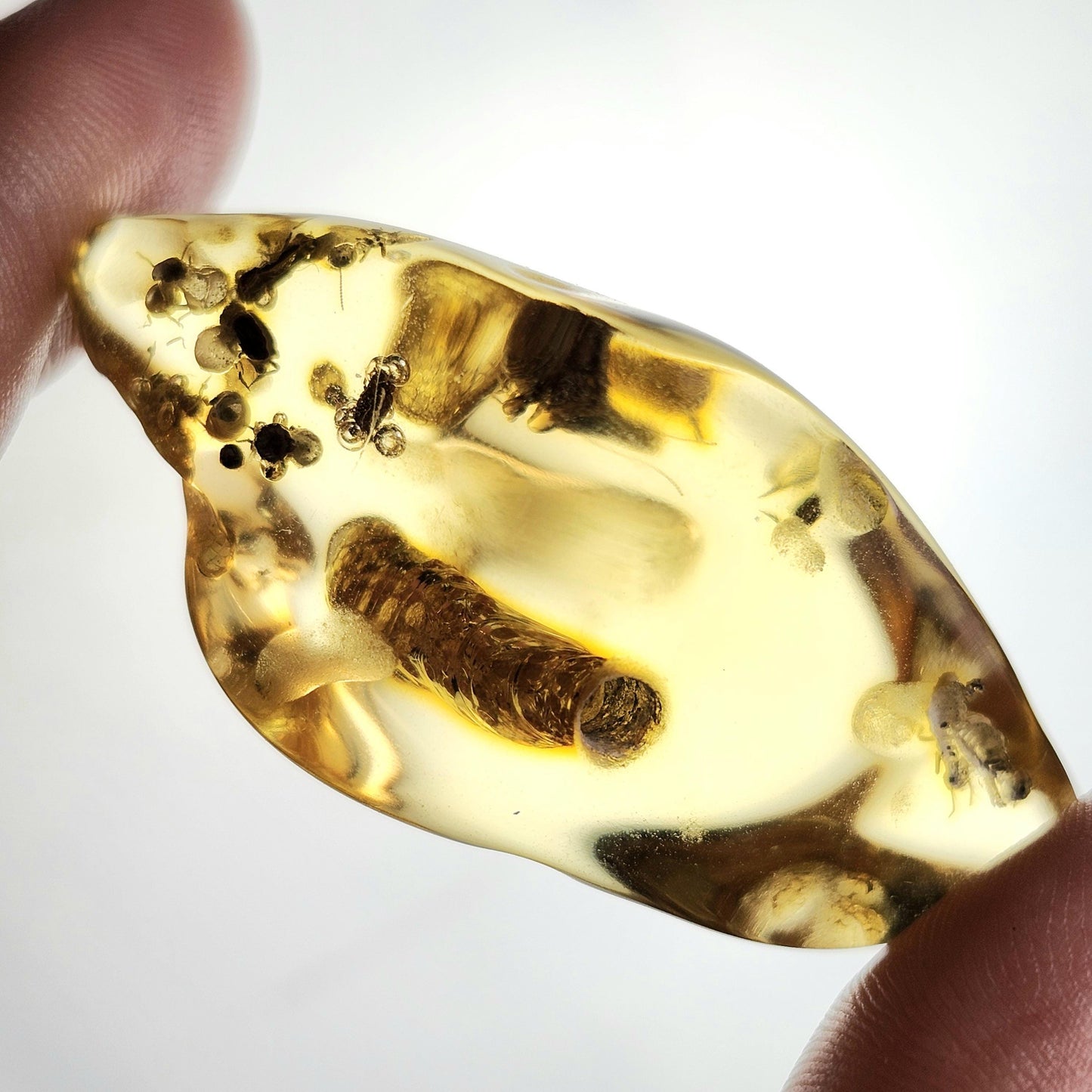 Enhydro AMBER with Bugs 8.8g