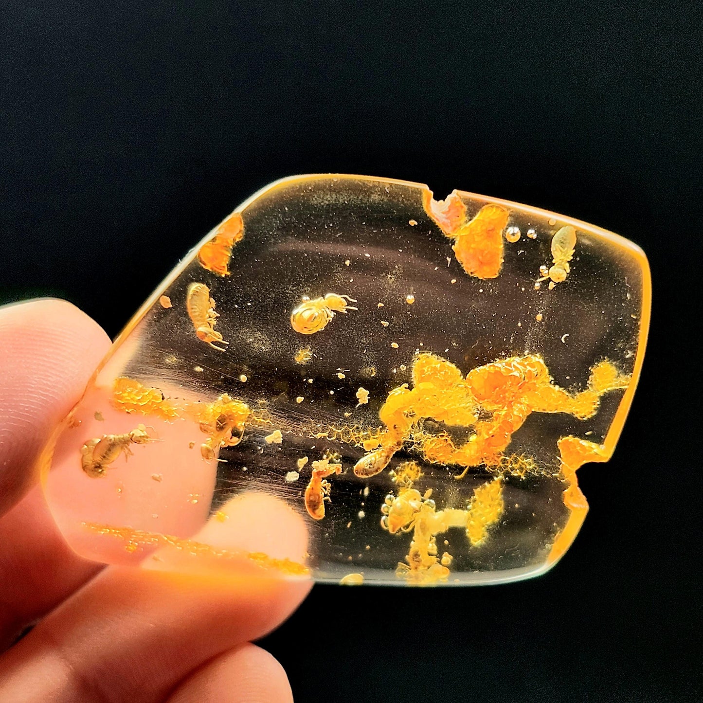 MOVING Enhydro AMBER with Bugs 5.7g