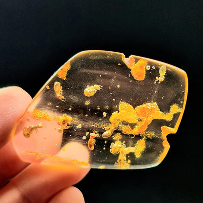 MOVING Enhydro AMBER with Bugs 5.7g