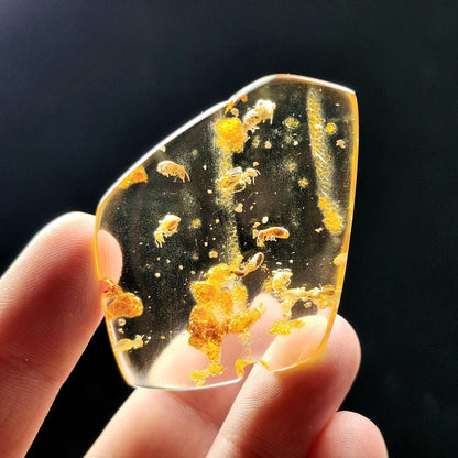 MOVING Enhydro AMBER with Bugs 5.7g