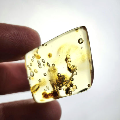 MOVING Enhydro AMBER with Bugs 3.7g