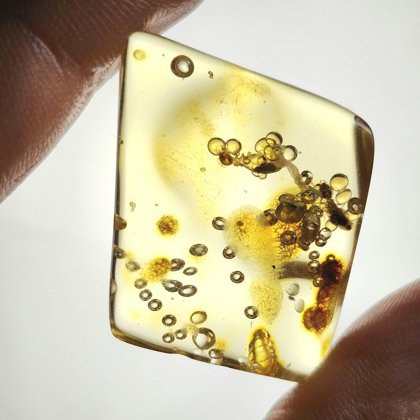 MOVING Enhydro AMBER with Bugs 3.7g