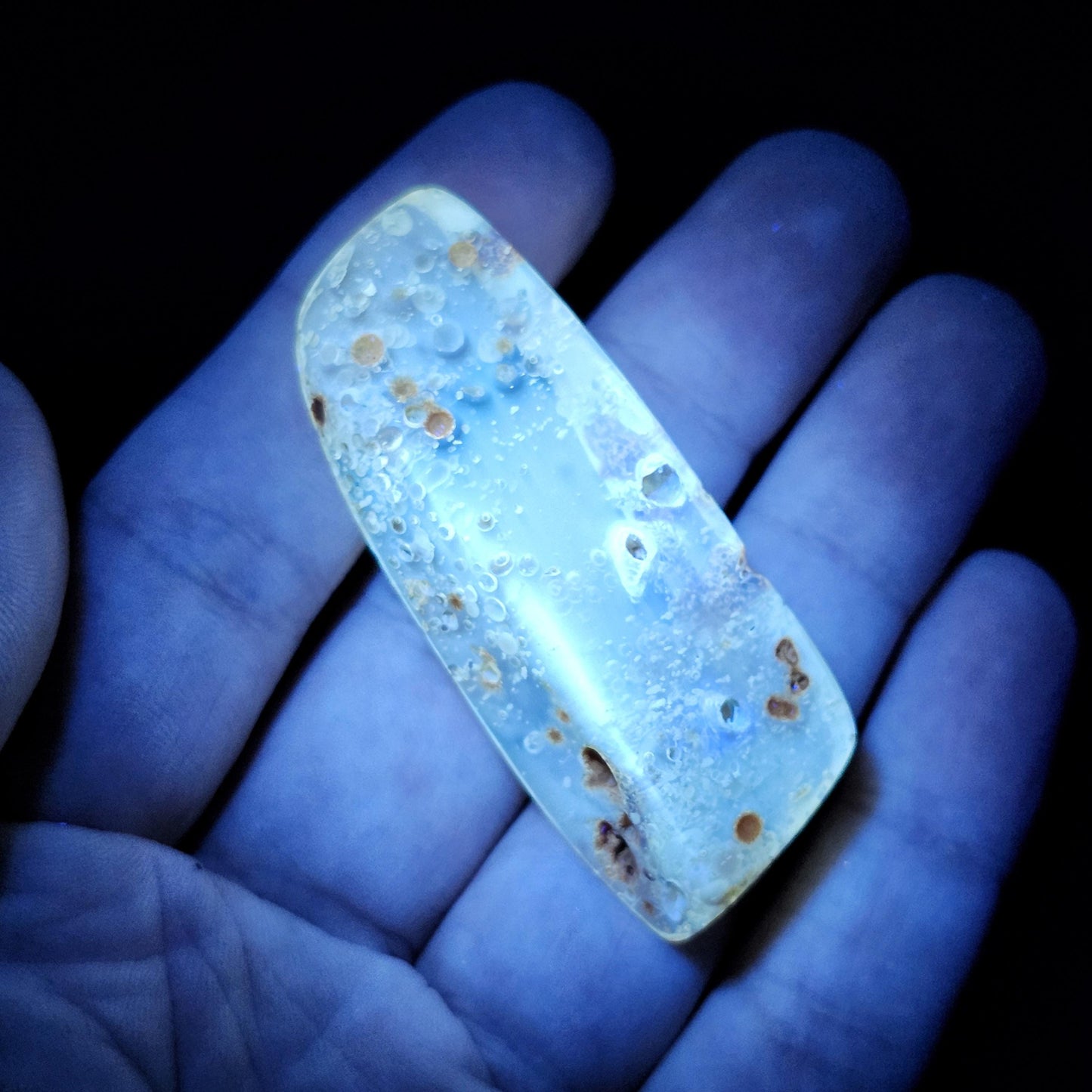 Amber with Moving Enhydro & Insects 6.8g