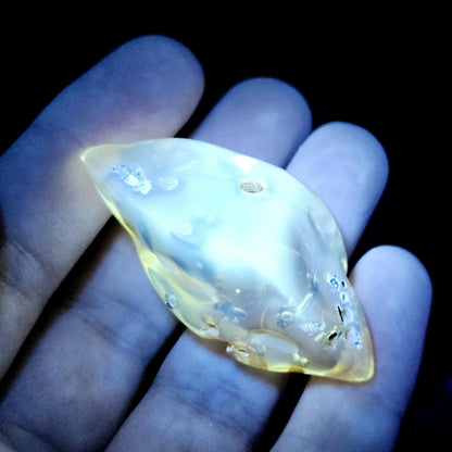 Enhydro AMBER with Bugs 8.8g