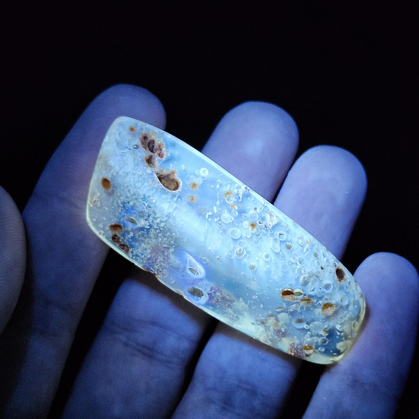 Amber with Moving Enhydro & Insects 6.8g