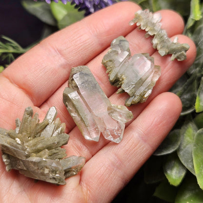 Himalayan Green Faden Chlorite Quartz: Raw Tabular Crystal with Manifestation Inclusions