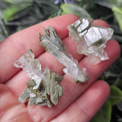 Himalayan Green Faden Chlorite Quartz: Raw Tabular Crystal with Manifestation Inclusions