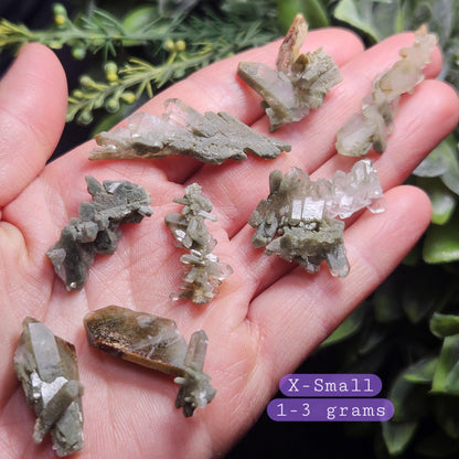 Himalayan Green Faden Chlorite Quartz: Raw Tabular Crystal with Manifestation Inclusions