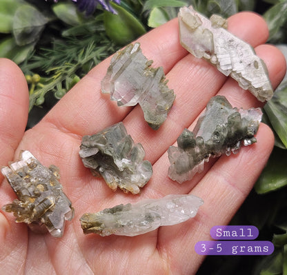 Himalayan Green Faden Chlorite Quartz: Raw Tabular Crystal with Manifestation Inclusions