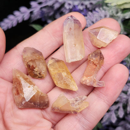 Rough Brazilian Ametrine Crystal