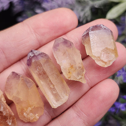 Rough Brazilian Ametrine Crystal