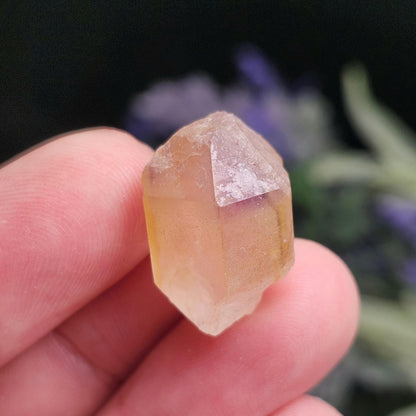Rough Brazilian Ametrine Crystal