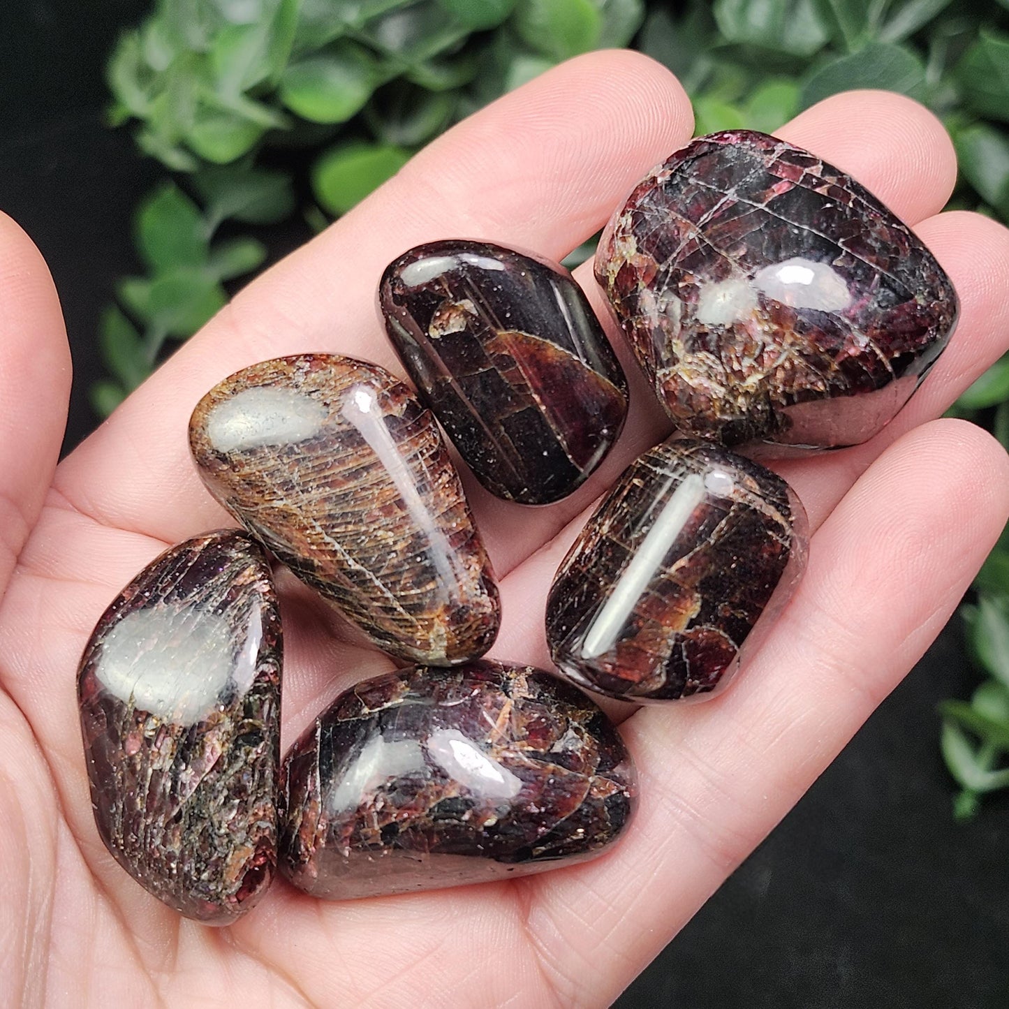 Polished Garnet Crystal