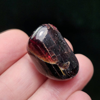 Polished Garnet Crystal