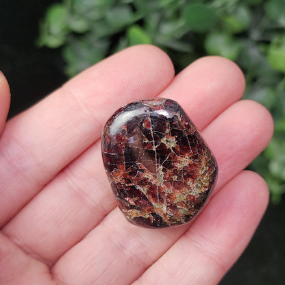 Polished Garnet Crystal