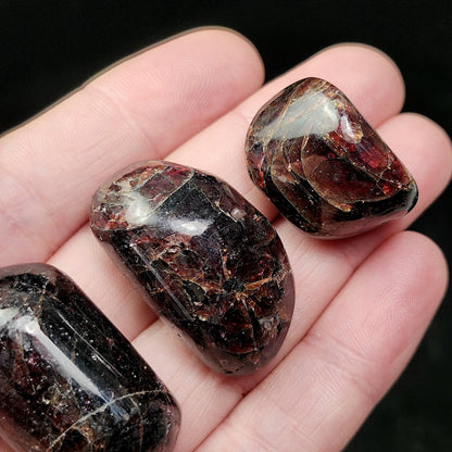 Polished Garnet Crystal